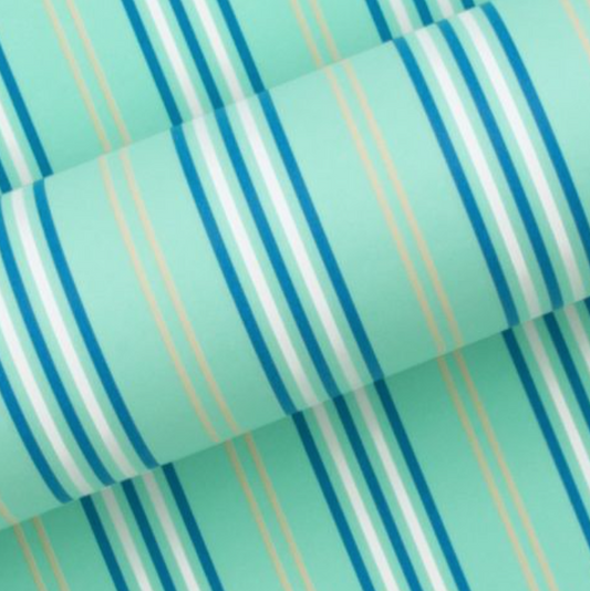 Coastal Stripe Aqua