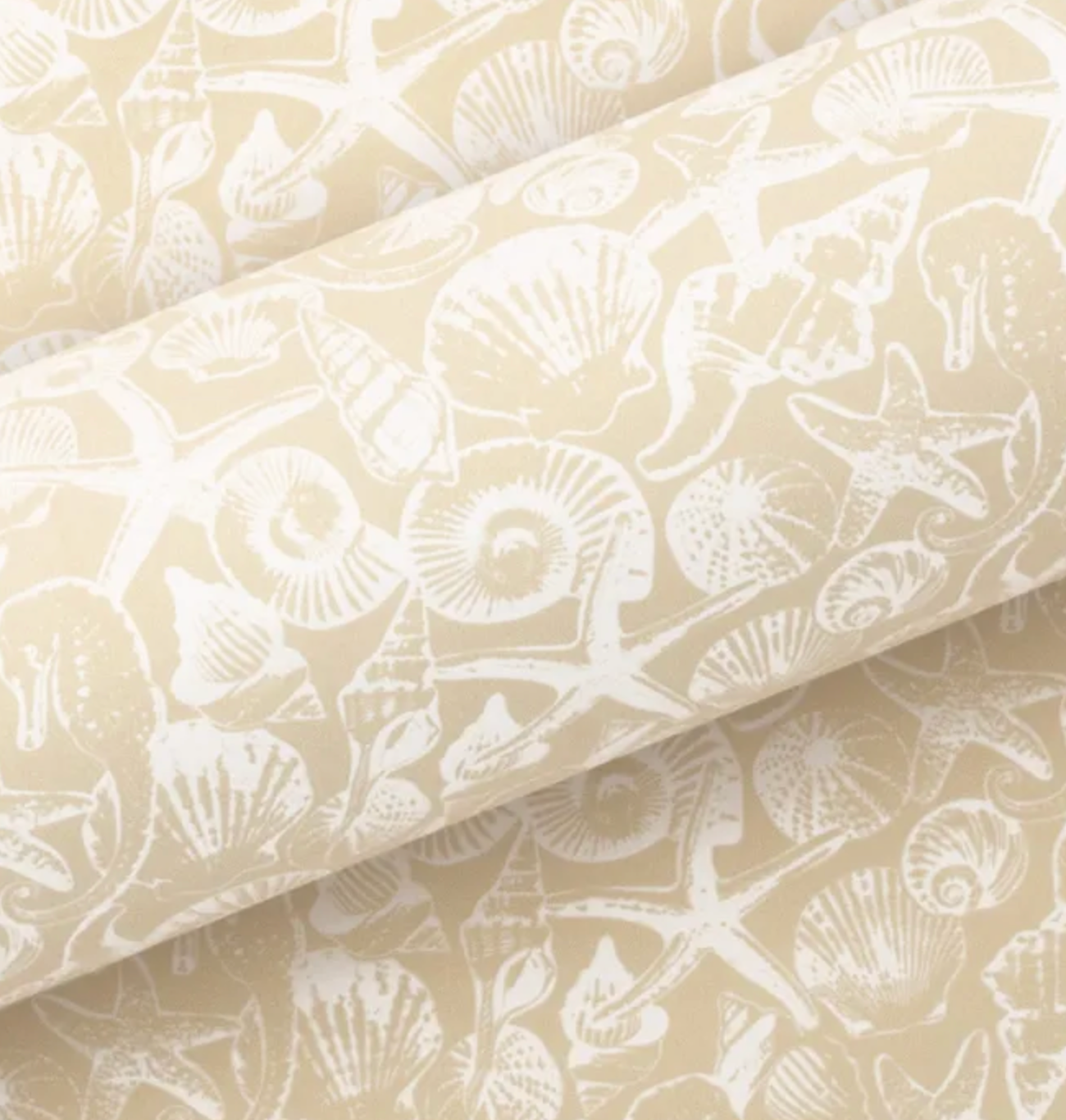 Seashells Sand