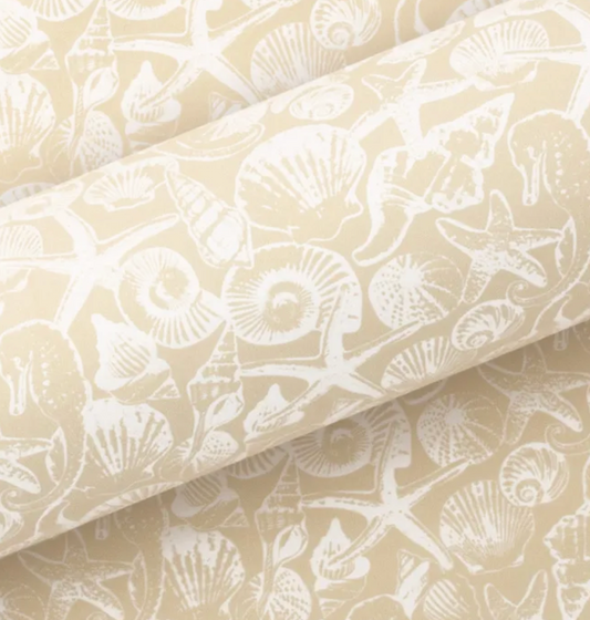 Seashells Sand