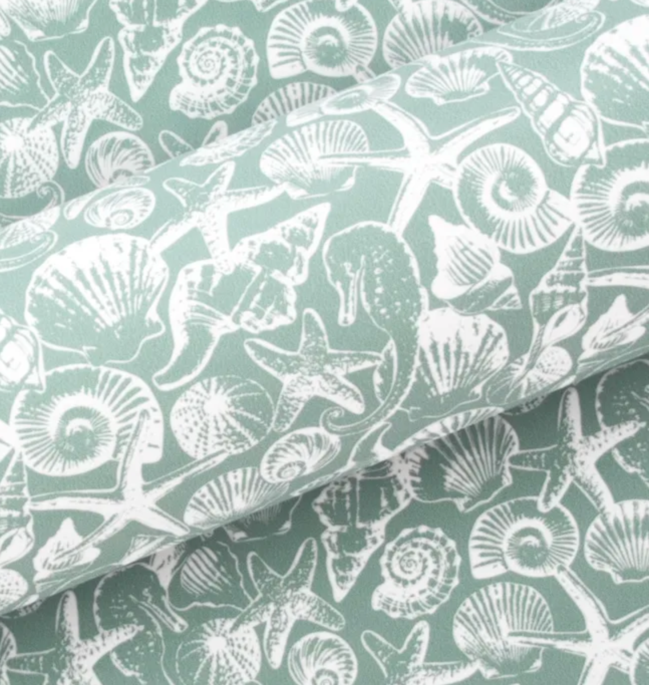 Seashells Slate